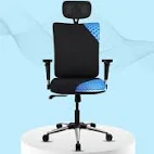 Orthopedic Chair